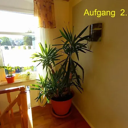 Ruefflerstub Eibenstock